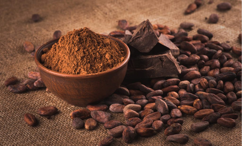 cacao puro desgrasado ecologico